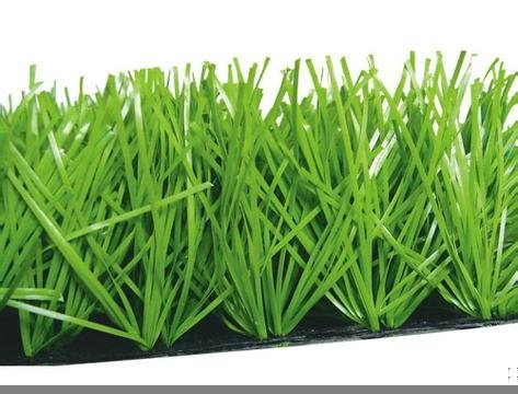 承接人造草坪鋪設(shè) 人造草銷(xiāo)售 草 天然草 草坪